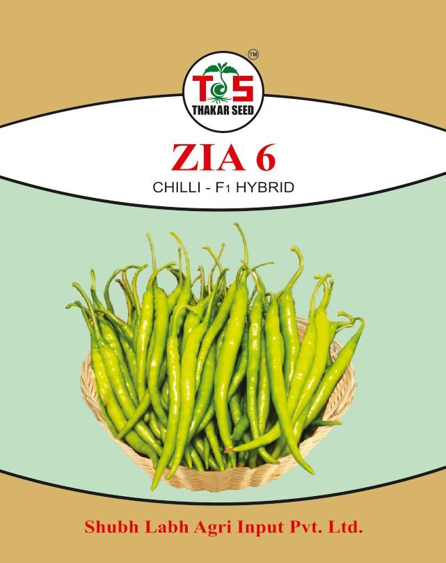 ZIA 6 (CHILLI - F1 HYBRID)