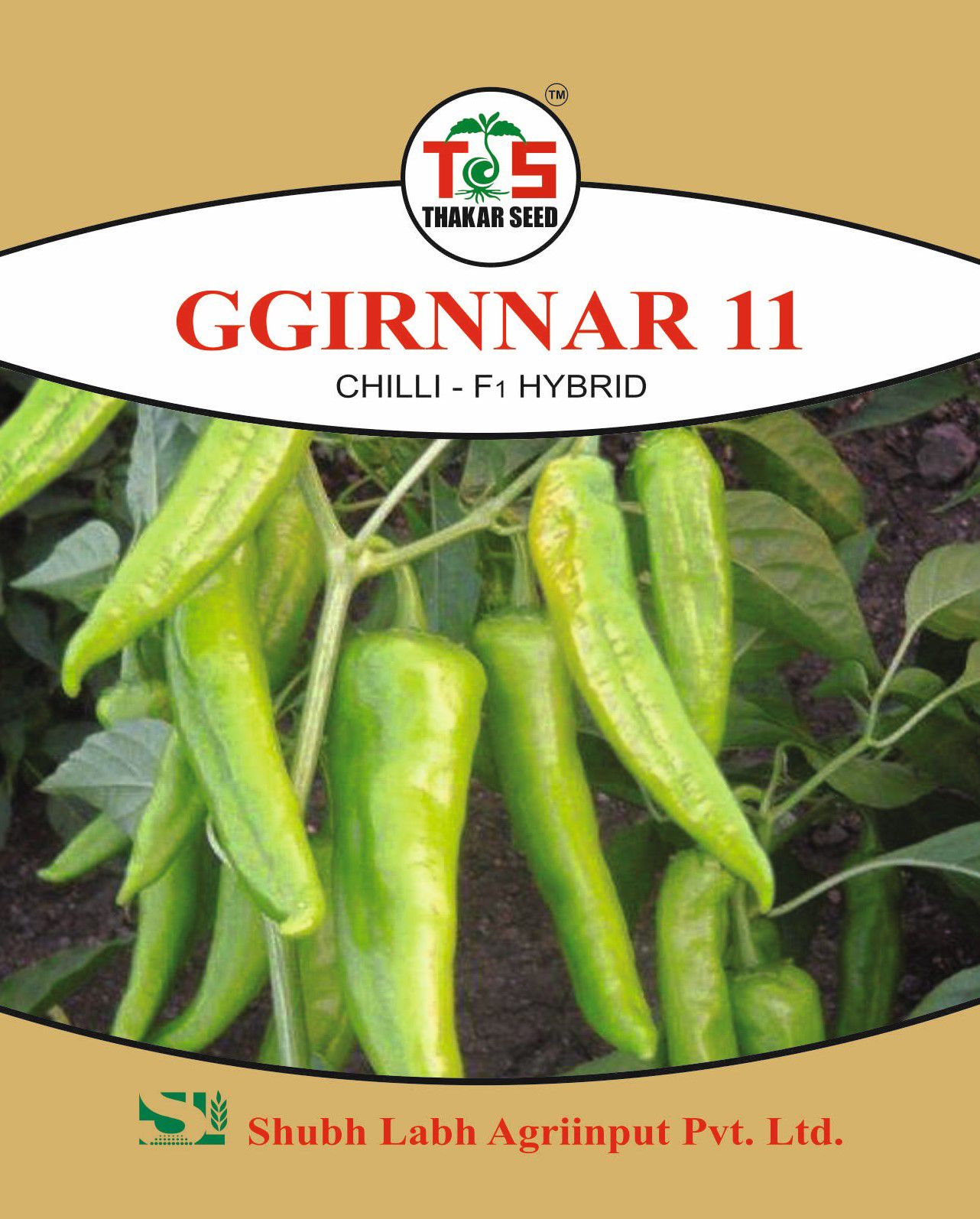GGIRNNAR 11 (CHILLI - F1 HYBRID