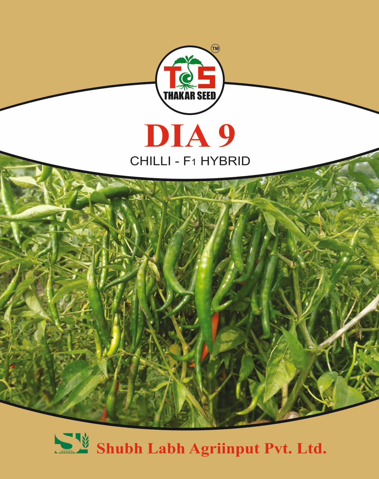 DIA 9 (CHILLI - F1 HYBRID)