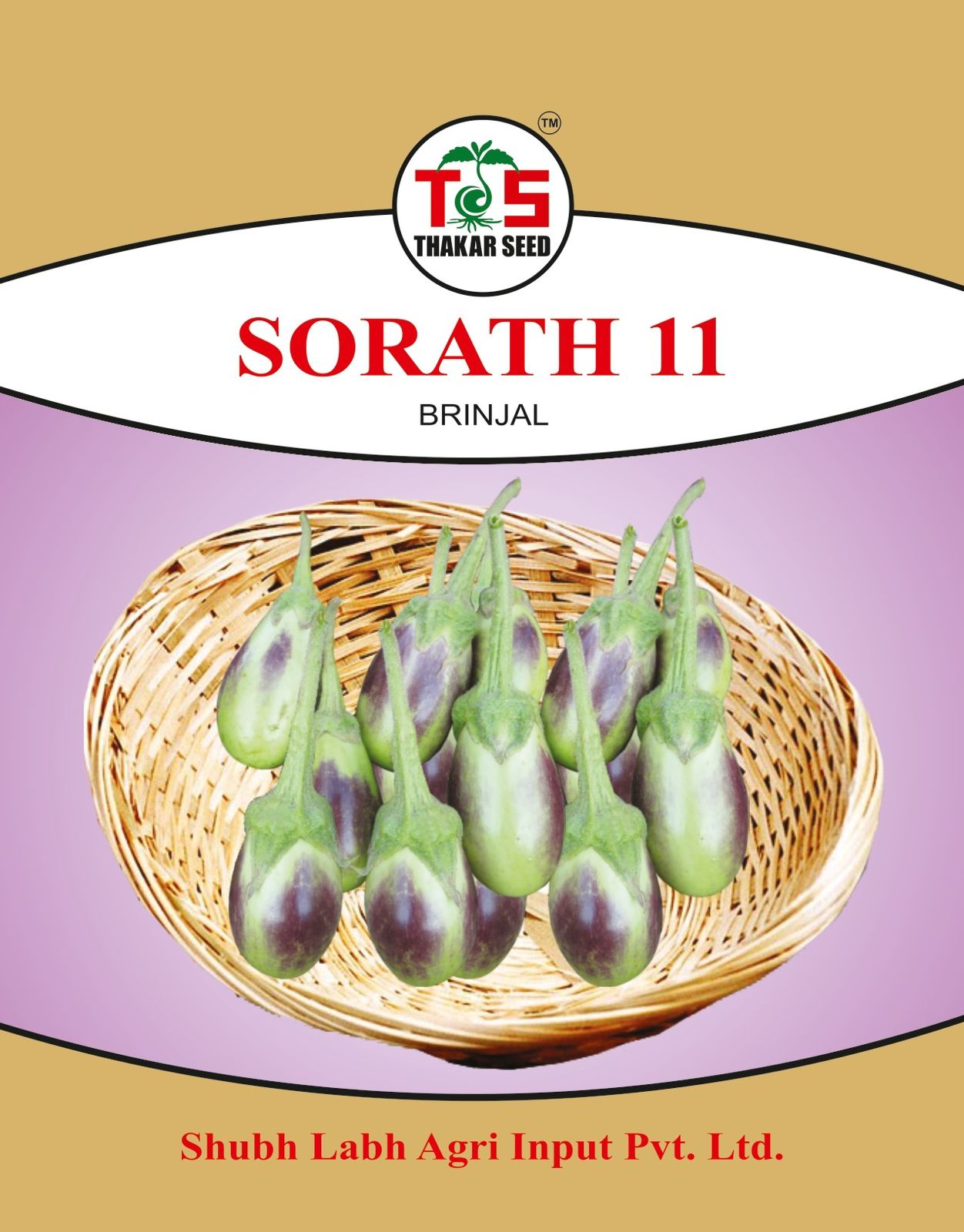 SORATH 11 (BRINJAL SEEDS)
