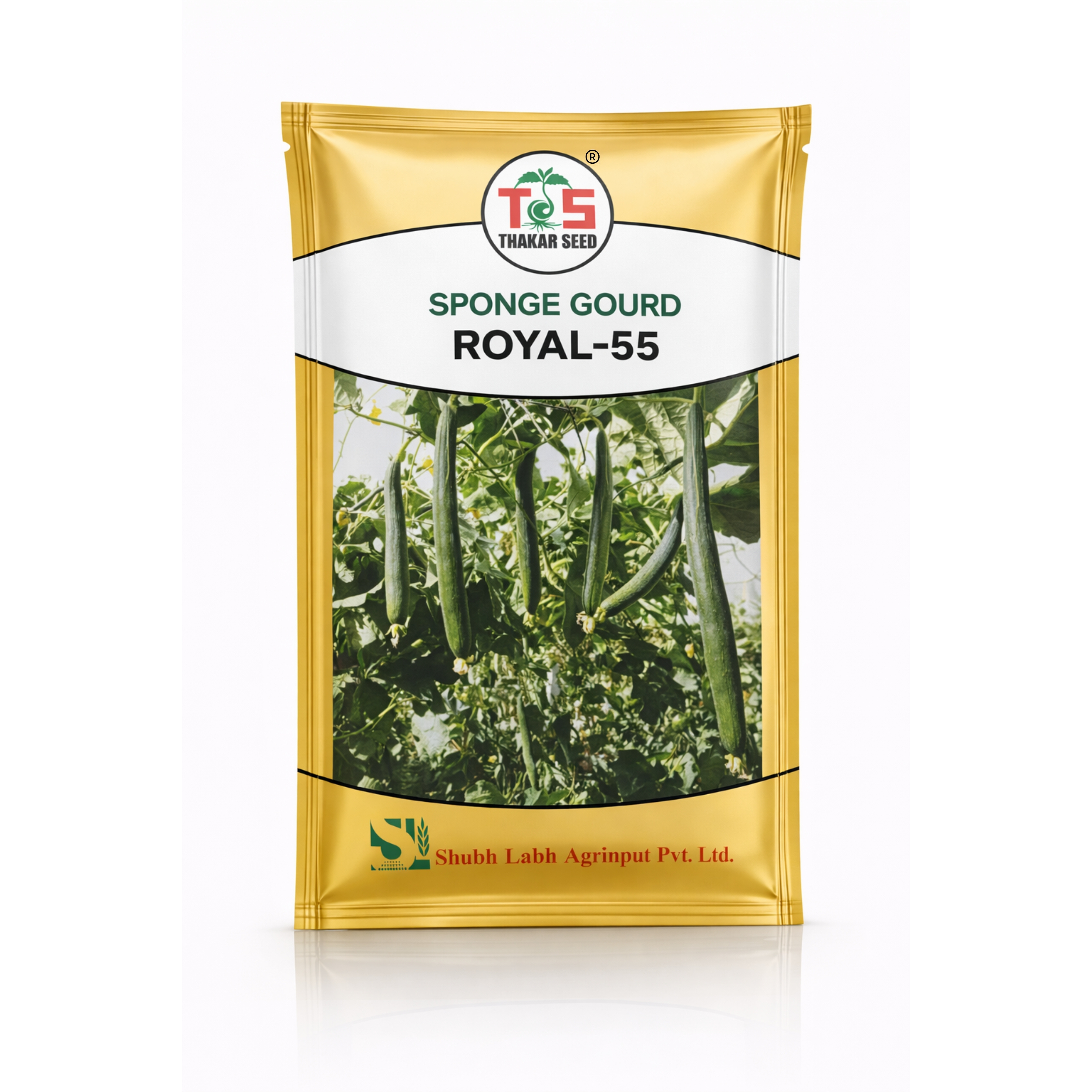 ROYAL 55 (SPONGE GOURD - F1 HYBRID)
