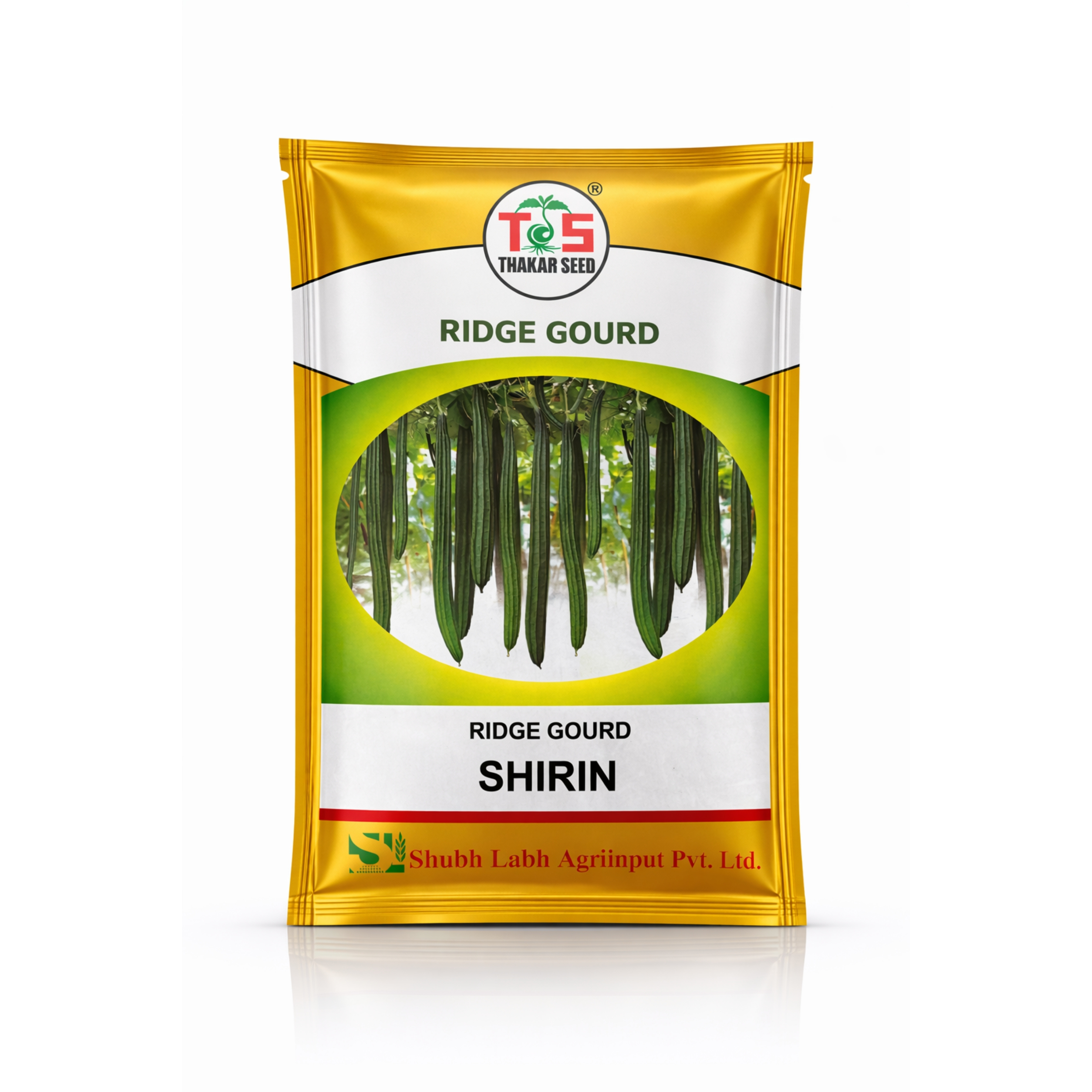 SHIRIN (RIDGE GOURD)