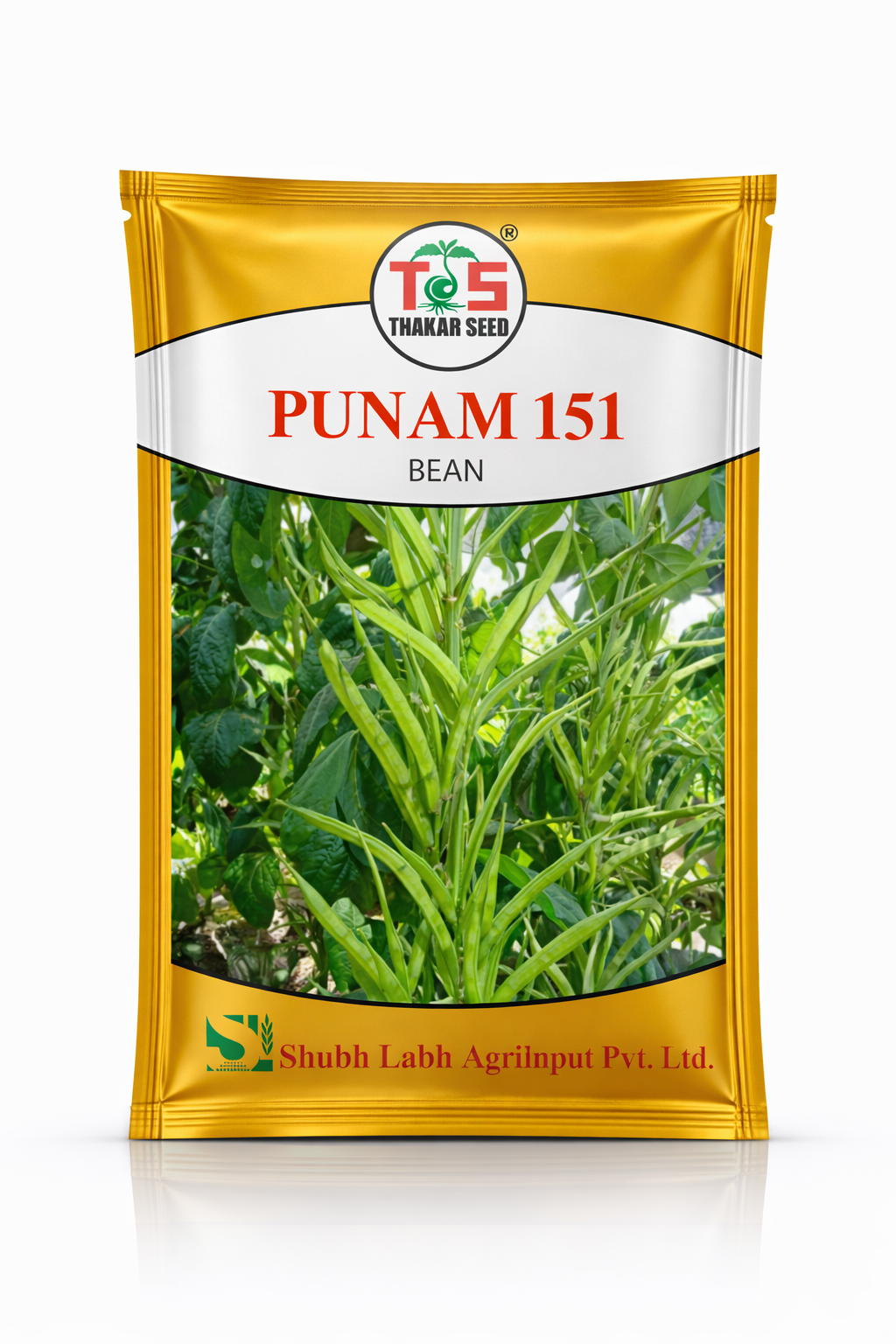 PUNAM 151 (BEAN)