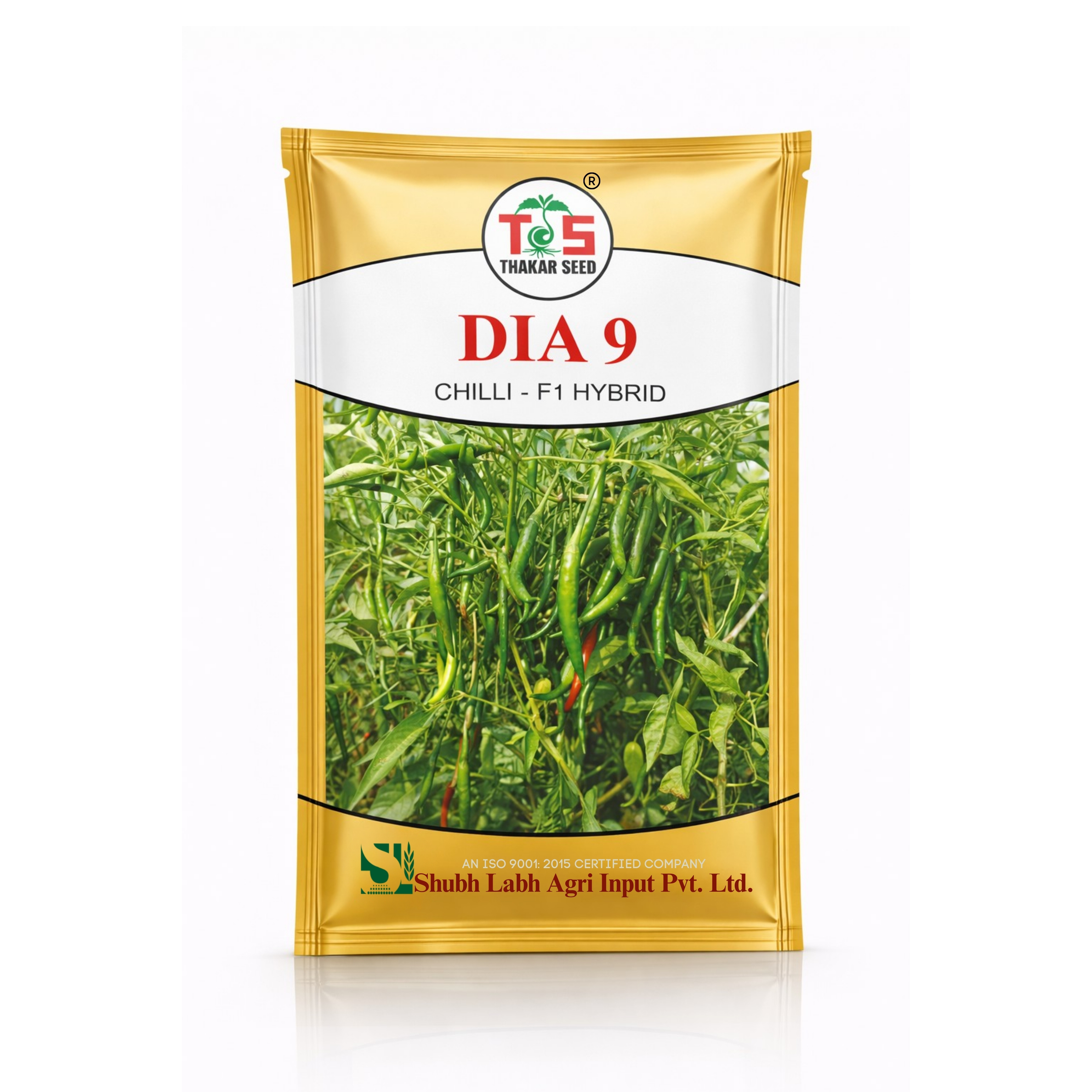 DIA 9 (CHILLI - F1 HYBRID)