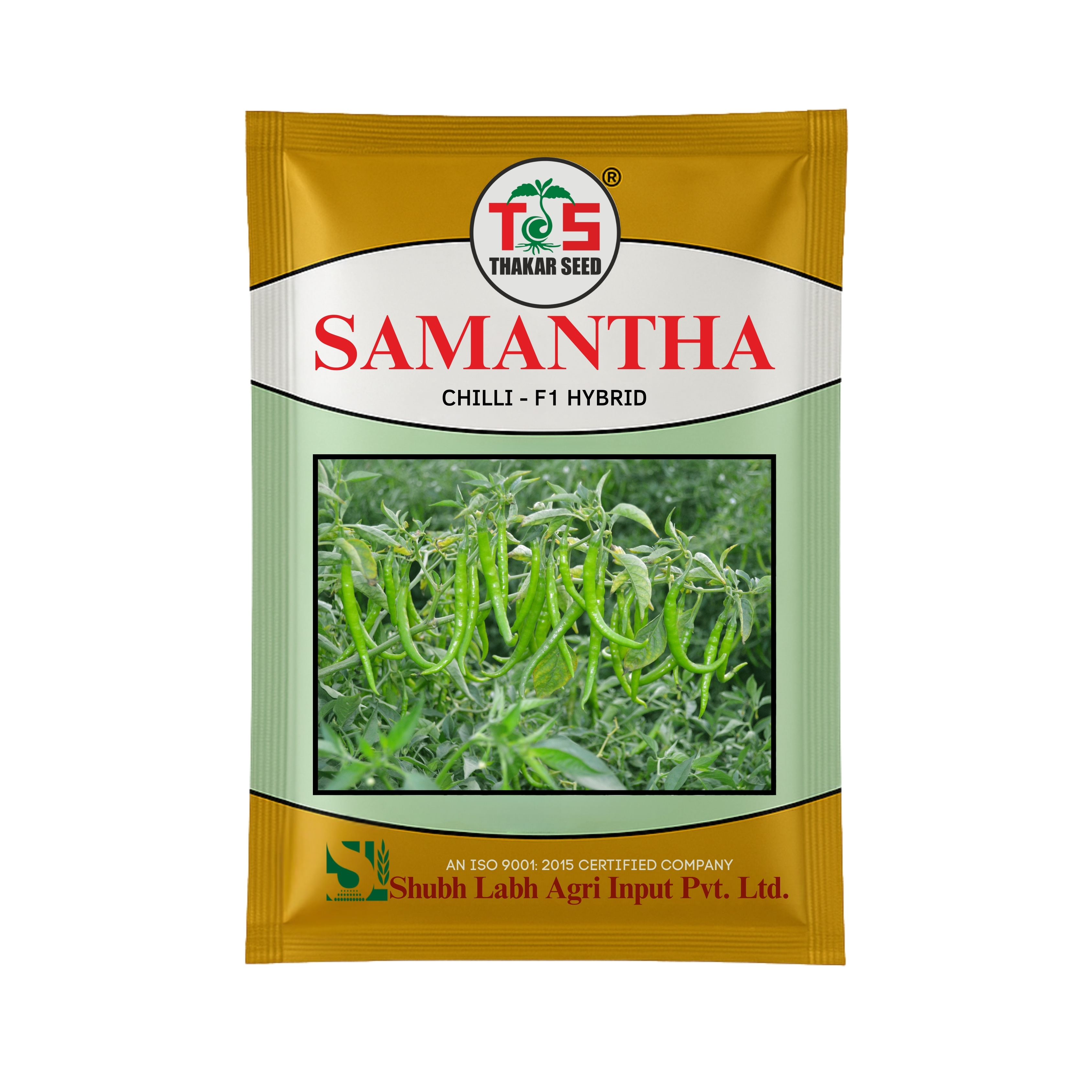 SAMANTHA (CHILLI - F1 HYBRID)